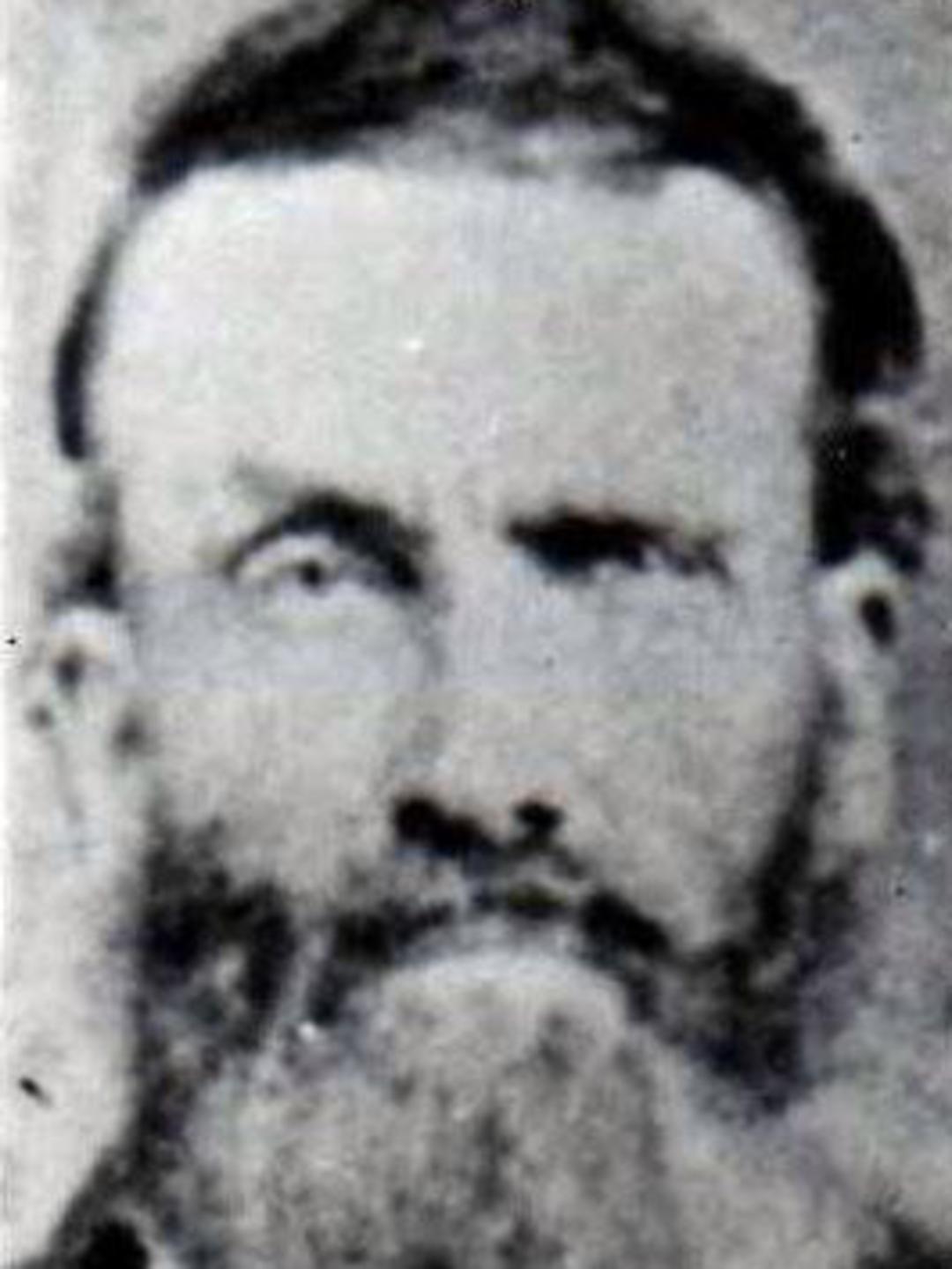 Levi Thornton (1819 - 1889) Profile